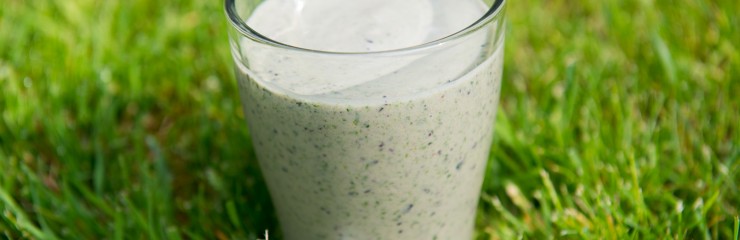 ontbijt smoothie banaan blauwe bes spinazie avocado